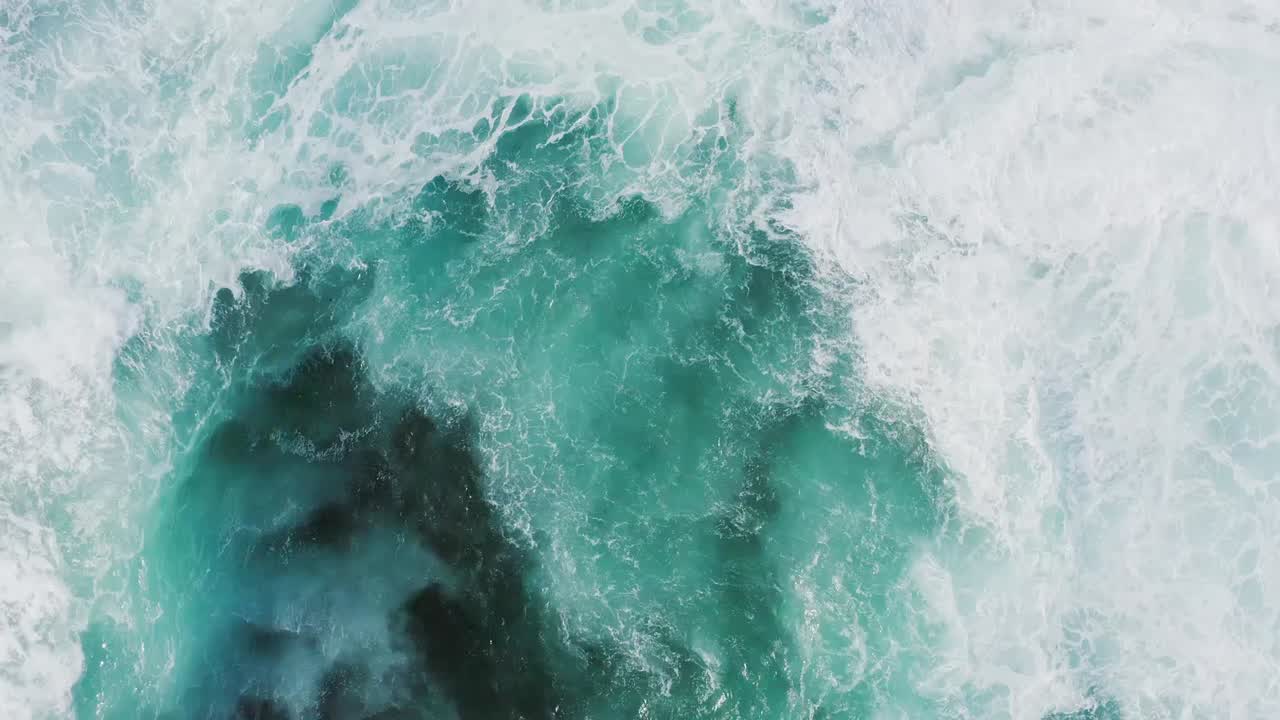 Volxjapan Vesta wave W8 海水 Vesta Wave（Volxjapan Vesta 珍しい wave W8 海水）